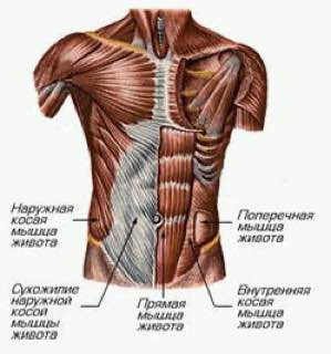 Мазь от ушибов и растяжений для спортсменов